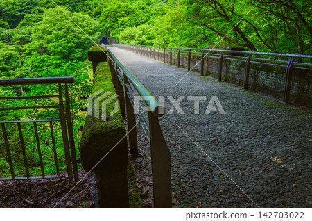 [Apt Railway Line] Meganebashi Bridge Upper Section [Usui Third Bridge] 142703022