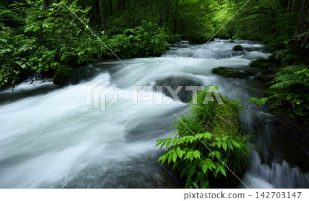 waterfall in deep rain forest waterfall in deep rain forest 142703147