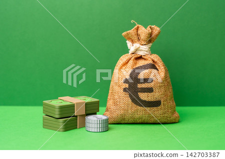 Euro money bag on a green background. Money, investments, and profit. Wealth and wealth. Successful business and finance. Financial budget. Savings and deposits. 142703387
