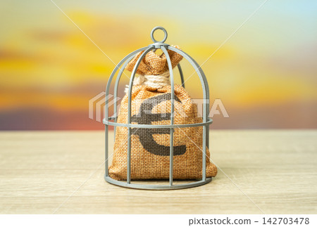 Euro money bag in a cage. Freezing of financial assets. Restrict access to accounts. Financial security. Capital safety and security. Euro money bag in a cage. Freezing of financial assets. Restrict access to accounts. Financial security. Capital safety and security. 142703478