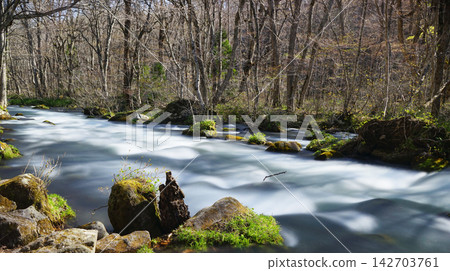 river in the forest river in the forest 142703761
