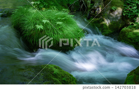 waterfall in deep forest waterfall in deep forest 142703818