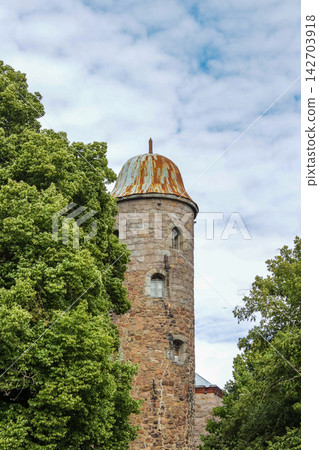 A rusty-domed stone tower nestled among trees, open-air, showcasing historic architecture and the surrounding natural environment 142703918