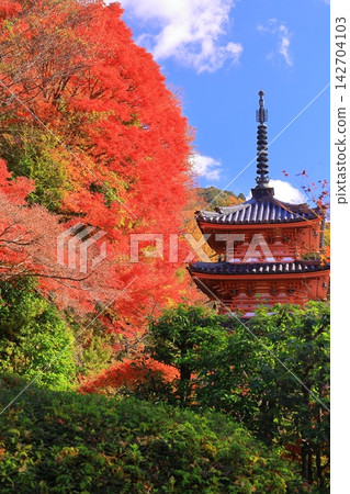 京都府宇治市的三室戶寺及其三層寶塔,周圍環繞著秋葉。 京都府宇治市的三室戶寺及其三層寶塔,周圍環繞著秋葉。 142704103