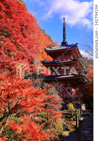 京都府宇治市的三室戶寺及其三層寶塔,周圍環繞著秋葉。 京都府宇治市的三室戶寺及其三層寶塔,周圍環繞著秋葉。 142704104