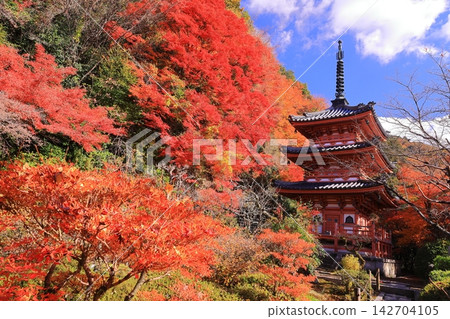 京都府宇治市的三室戶寺及其三層寶塔,周圍環繞著秋葉。 京都府宇治市的三室戶寺及其三層寶塔,周圍環繞著秋葉。 142704105