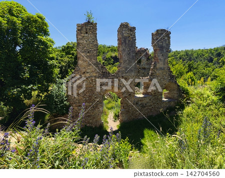 The beautiful old ruins of the Templstejn castle on the hill with the Jihlava river valley. South Moravia - Czech Republic. The beautiful old ruins of the Templstejn castle on the hill with the Jihlava river valley. South Moravia - Czech Republic. 142704560