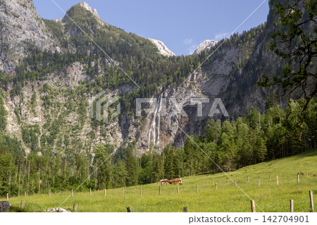 Rothbach waterfall at lake Obersee, lake Konigssee, in the Berchtesgaden Alps, Bavaria, Germany Rothbach waterfall at lake Obersee, lake Konigssee, in the Berchtesgaden Alps, Bavaria, Germany 142704901