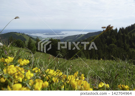 Lake Chiemsee in Bavaria, Germany Lake Chiemsee in Bavaria, Germany 142704964