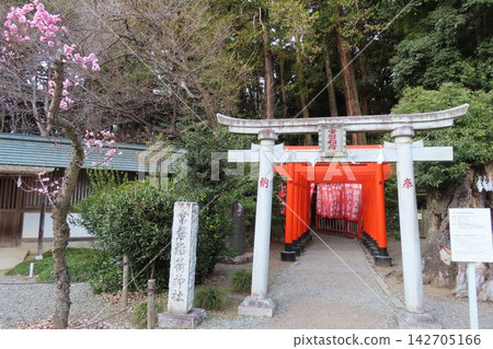 常磐稻荷神社的鳥居,毗鄰水戶偕樂園。 常磐稻荷神社的鳥居,毗鄰水戶偕樂園。 142705166