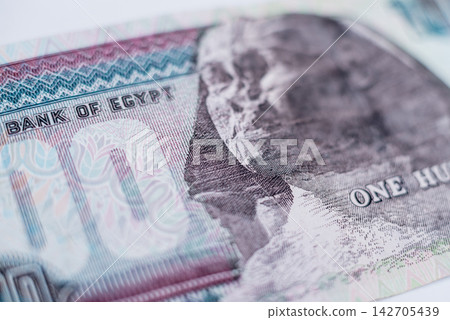 World money collection. Fragments of Egypt money World money collection. Fragments of Egypt money 142705439