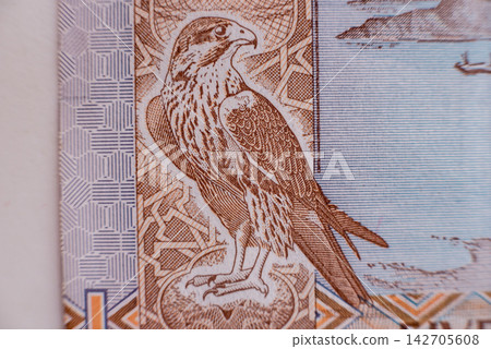 World money collection. Fragments of United Arab Emirates money World money collection. Fragments of United Arab Emirates money 142705608