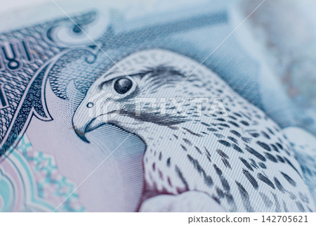 World money collection. Fragments of United Arab Emirates money 142705621
