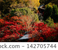 Surrounded by autumn leaves 142705744