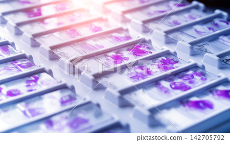 Rows of microscope glass slide in the cells Rows of microscope glass slide in the cells 142705792