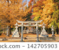 Torii gates adorned with autumn colors 142705903