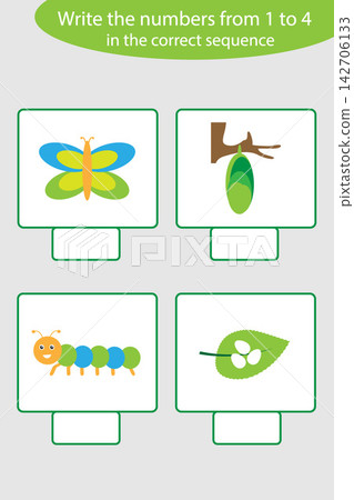 Visual game with life cycle of butterfly pictures for kids, educational task for the development of logical thinking, preschool worksheet activity, write numbers, vector illustration Visual game with life cycle of butterfly pictures for kids, educational task for the development of logical thinking, preschool worksheet activity, write numbers, vector illustration 142706133