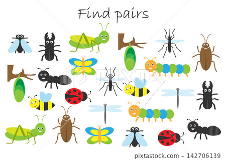 Find pairs of identical pictures, fun education game with insects theme for children, preschool worksheet activity for kids, task for the development of logical thinking, vector illustration Find pairs of identical pictures, fun education game with insects theme for children, preschool worksheet activity for kids, task for the development of logical thinking, vector illustration 142706139
