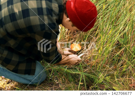 Man foraging wild birch boletes in an autumn forest. This seasonal harvest and mushroom picking outdoor activity represents a sustainable lifestyle and connection with nature. Man foraging wild birch boletes in an autumn forest. This seasonal harvest and mushroom picking outdoor activity represents a sustainable lifestyle and connection with nature. 142706677