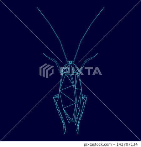 Cockroach low poly triangulation triangulated polygonal electric cyan blue vibrant aqua neon color vector illustration image outline contour line Cockroach low poly triangulation triangulated polygonal electric cyan blue vibrant aqua neon color vector illustration image outline contour line 142707134