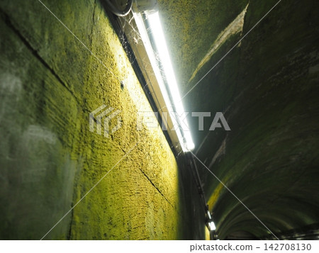 A tunnel at the back of the tunnel A tunnel at the back of the tunnel 142708130