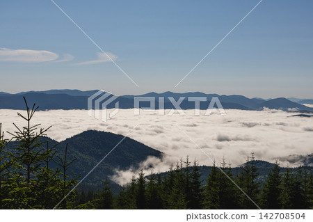 Mountains in the Carpathians of Ukraine with clouds and trees in summer Mountains in the Carpathians of Ukraine with clouds and trees in summer 142708504