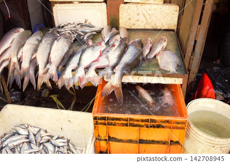 Fresh fish sold at a local market in Nepal Fresh fish sold at a local market in Nepal 142708945