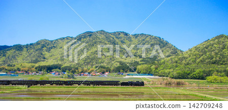 Tsuwano Tsuwano 142709248