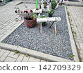 A landscaped yard features a rectangular gravel bed bordered by concrete. Wooden sculptures resembling animals, crafted from logs and branches, are placed on the gravel 142709329