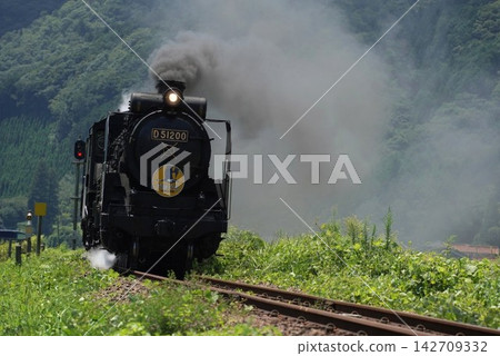SL Yamaguchi (D51 200) 強勁地穿梭在鬱鬱蔥蔥的綠地中。 142709332