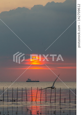 Dramatic sunset over the ocean with a cargo ship and flying seagulls Dramatic sunset over the ocean with a cargo ship and flying seagulls 142709612