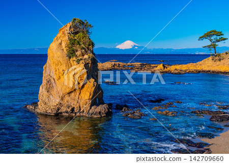 [Kanagawa Prefecture] Mount Fuji as seen from Tateishi Park on a clear day 142709660