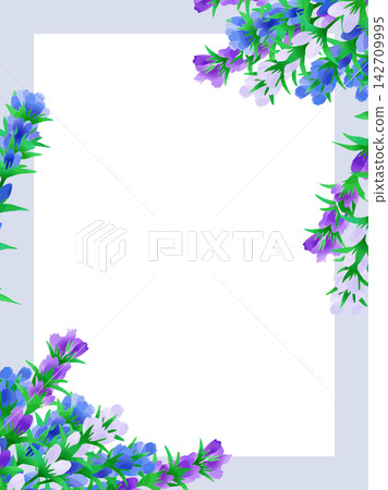 龍膽花插圖邊框 龍膽花插圖邊框 142709995