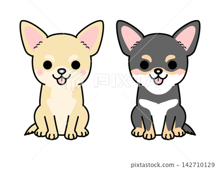 一組吉娃娃犬的向量插圖(光滑毛髮,全身像)。 一組吉娃娃犬的向量插圖(光滑毛髮,全身像)。 142710129