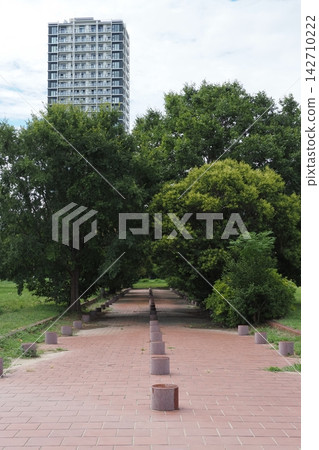 Naniwa Palace Site Park in the City Naniwa Palace Site Park in the City 142710222