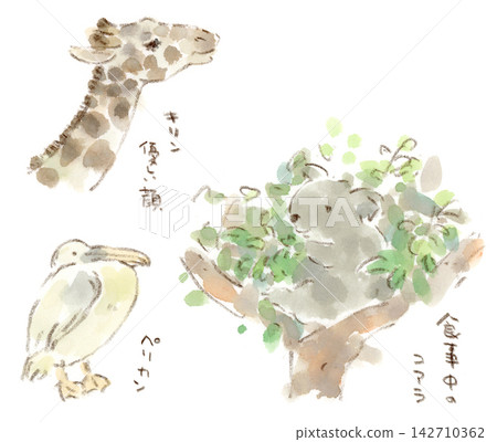 我在動物園看到的動物的水彩插圖(長頸鹿、鵜鶘、無尾熊) 我在動物園看到的動物的水彩插圖(長頸鹿、鵜鶘、無尾熊) 142710362