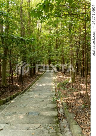 The approach to Ise Grand Shrine, enveloped in fresh greenery. The approach to Ise Grand Shrine, enveloped in fresh greenery. 142710604