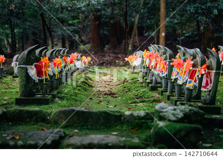 [滋賀縣東近江市]金剛林寺、千尊地藏菩薩 142710644