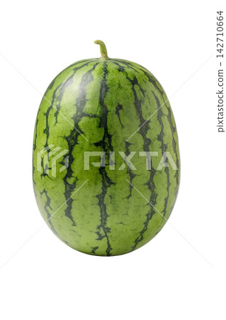 A PNG image of a single, vertically oriented, oval-shaped mini watermelon. A PNG image of a single, vertically oriented, oval-shaped mini watermelon. 142710664