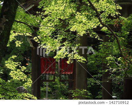 Kyoto Nishiyama Kanzoji Kyoto Nishiyama Kanzoji 142710912