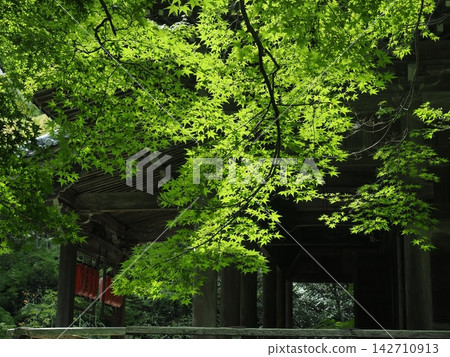 Kyoto Nishiyama Kanzoji Kyoto Nishiyama Kanzoji 142710913