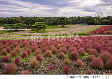 庫奇亞山景觀 庫奇亞山景觀 142711074