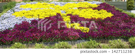 一個種滿紫色和黃色花朵的大花壇，形狀像蜻蜓。 142711238