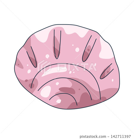 Illustration of seashell Illustration of seashell 142711397