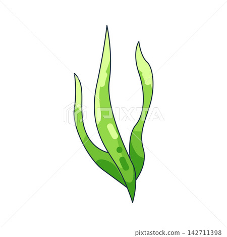 Illustration of seaweed Illustration of seaweed 142711398