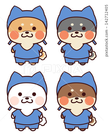 穿著手術服的柴犬 穿著手術服的柴犬 142712405