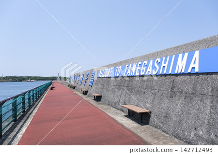 種子島西之表港的防波堤與濱海步道 種子島西之表港的防波堤與濱海步道 142712493