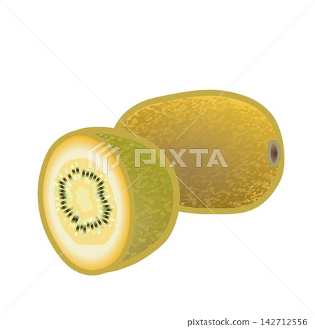 Kiwi fruit illustration 142712556