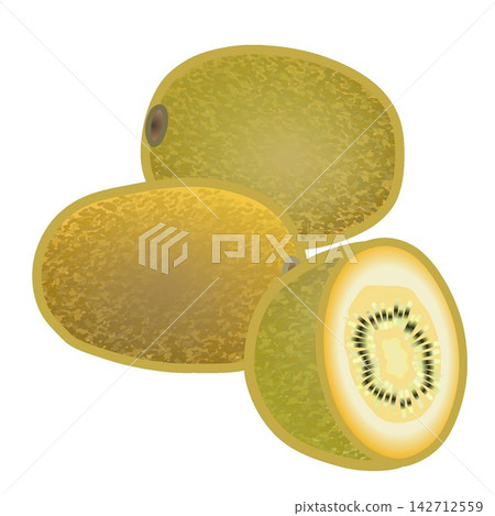 Kiwi fruit illustration Kiwi fruit illustration 142712559