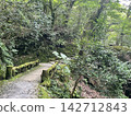 一座長滿青苔的石橋，一條穿過茂密森林的步行小徑。 142712843